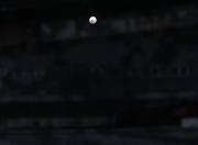 开云下载-包含瑞典乒乓球队逆转英国乒乓球队，奥恰洛夫惊艳世界的词条