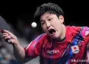 开云下载-关于日本乒乓球队碾压比利时乒乓球队，张本智和高光表现的信息