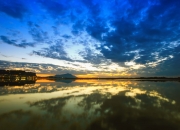 开云下载-哈利伯顿爆发引领76人争冠路，战术智慧胜出辽宁队启示