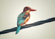 开云体育app-F1新赛季揭幕战焦点战，速度与悬念齐飞，恰似韩国终结勒沃库森不败神话