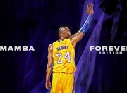 开云官网-浓眉禁区翻江倒海，湖人鏖战力克热火