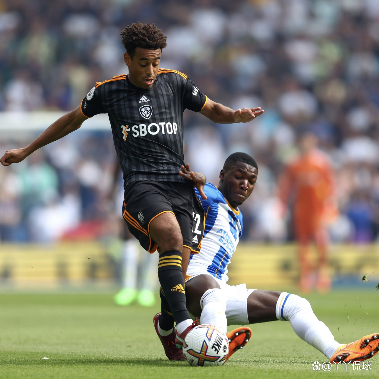 关于南安普顿再下一城,布莱顿客场保持不败的信息 关于南安普顿再下一城,布莱顿客场保持不败的信息