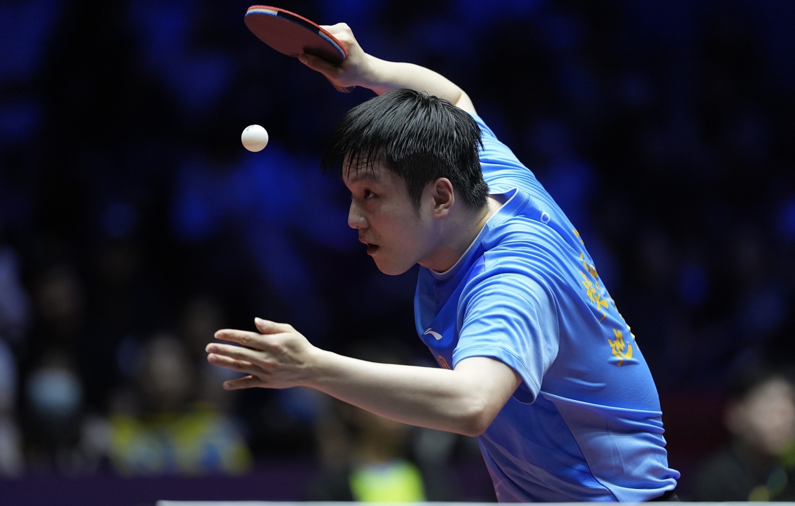 法国乒乓球队横扫日本乒乓球队,樊振东惊艳世界的简单介绍 法国乒乓球队横扫日本乒乓球队,樊振东惊艳世界的简单介绍