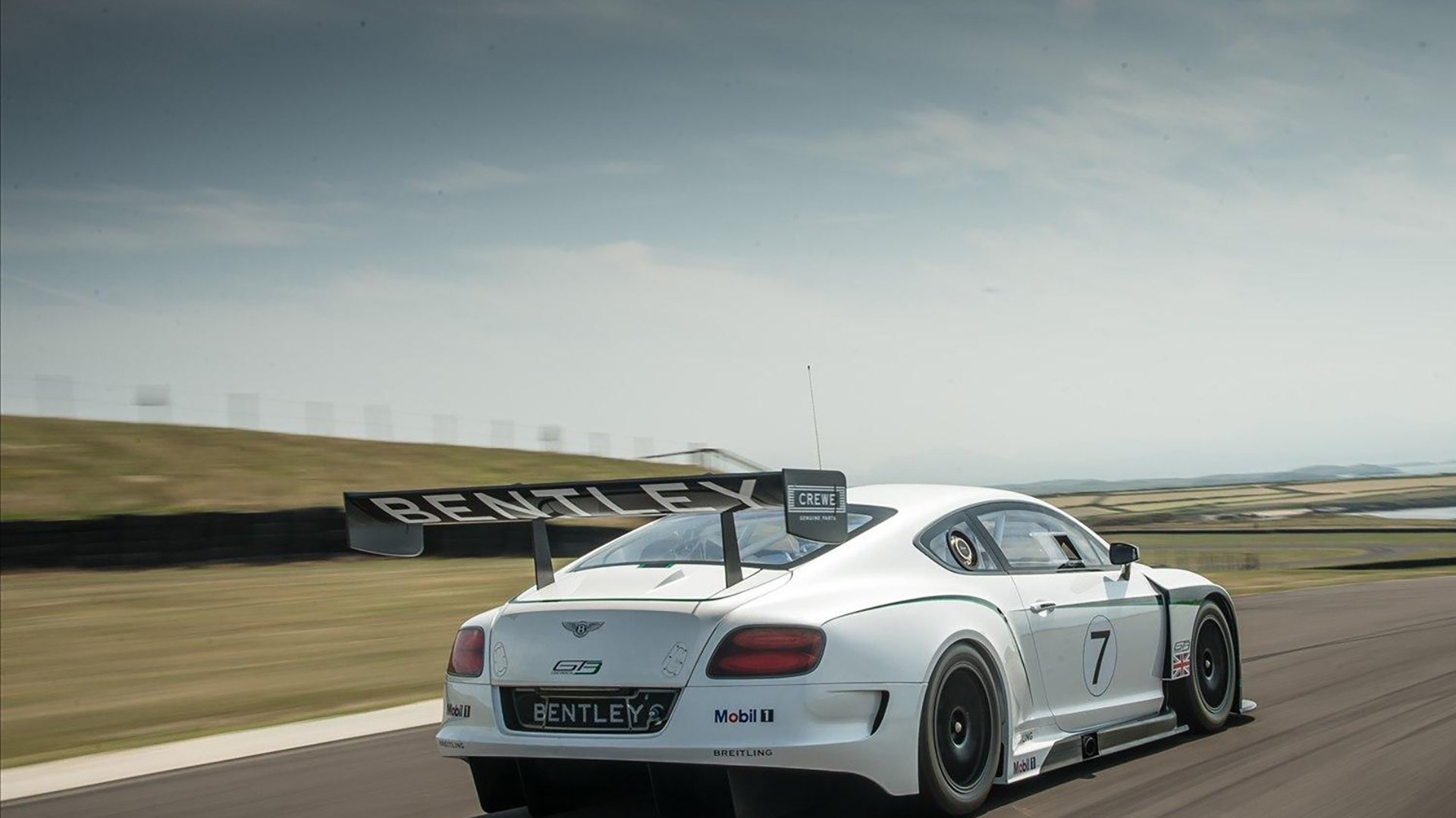 当辽宁铁骑击溃骑士,锡安在NBA季后赛接管比赛,体育精神的唯一性绽放