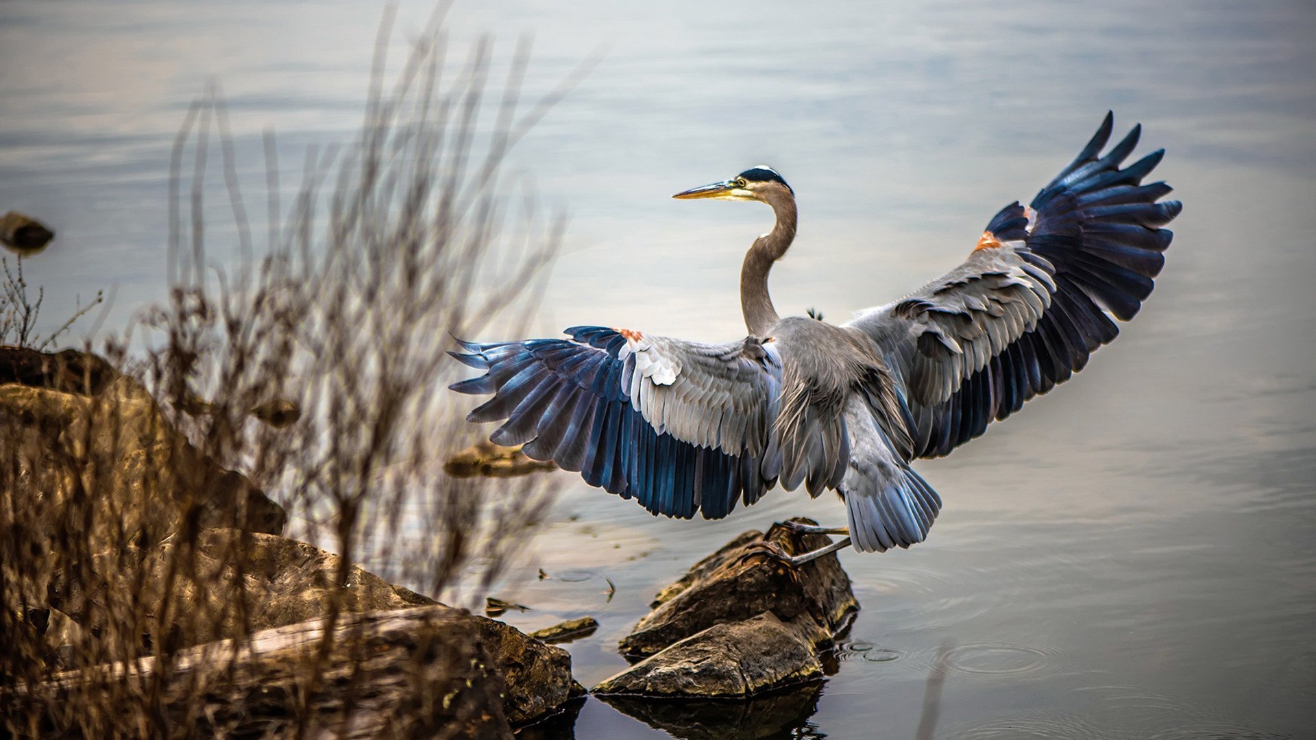 阿拉巴状态火热，曼联对阵皇家社会能否守住防线？