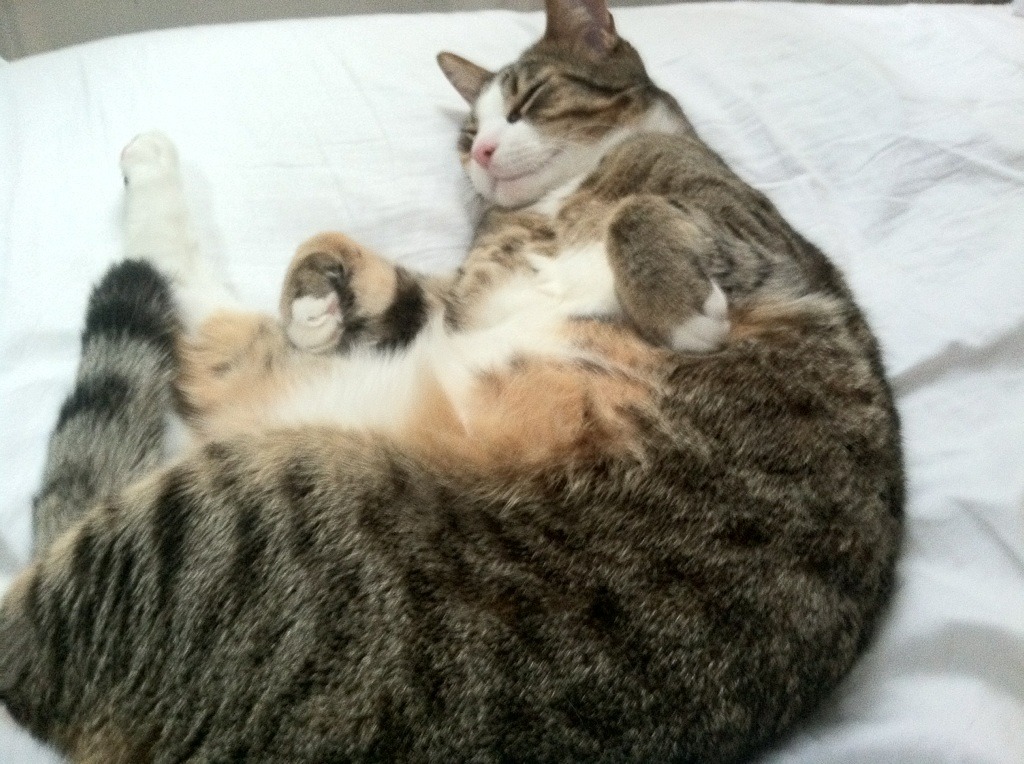 库里抢七封神夜，当质疑化为传奇的注脚